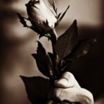 دانلود دکلمه ترکی ایچیرم منن اوزاغ سئوگیلیمین سالیغینا