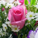 دانلود آهنگ کی با یه جمله مثل من