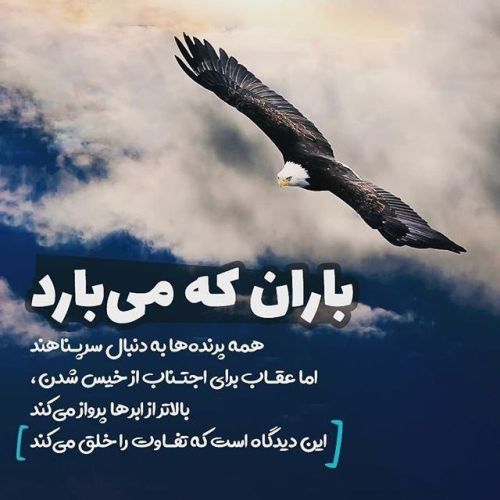 دانلود آهنگ من که نازتو گرون میخرم سنگتو به جون میزنم از هایده