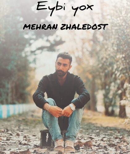 دانلود آهنگ مهران ژاله دوست به نام عیبی یوخ